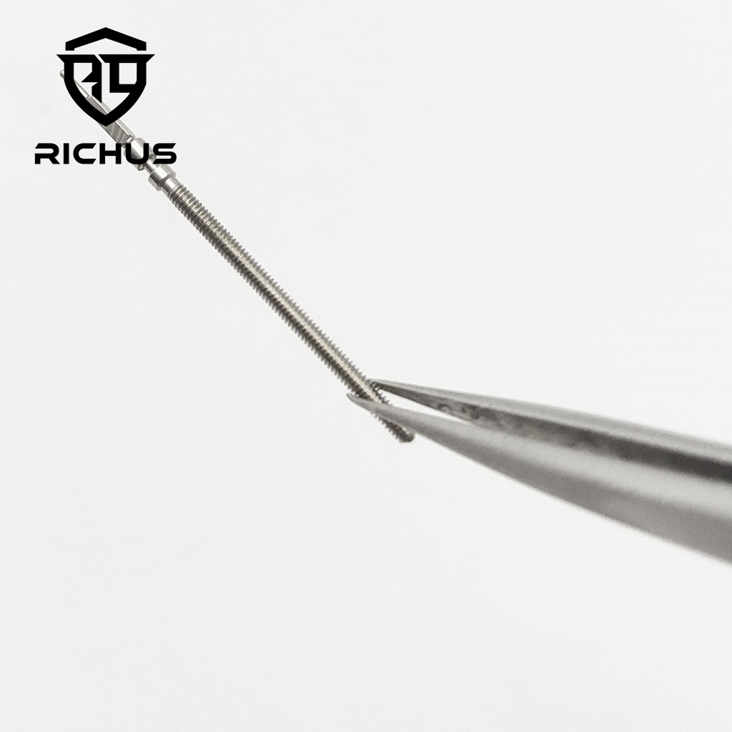 RICHUS 6497 Stelo dell'orologi - Luxury Watch Cleaning Kit recensione e prezzo