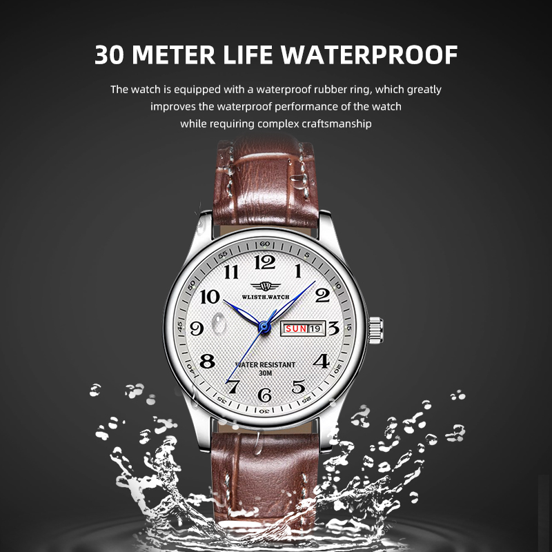 WLISTH Orologio da uomo di mar - Luxury Watch Affordable recensione e prezzo